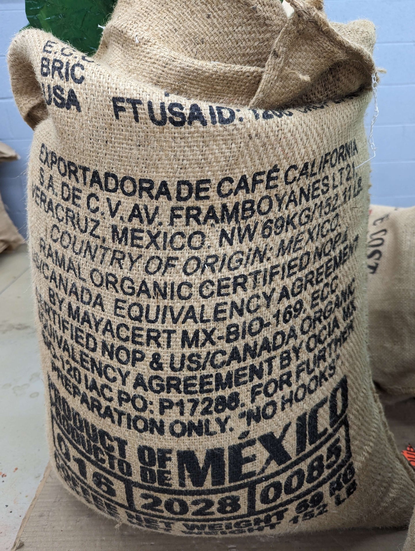 Mexico Chiapas California