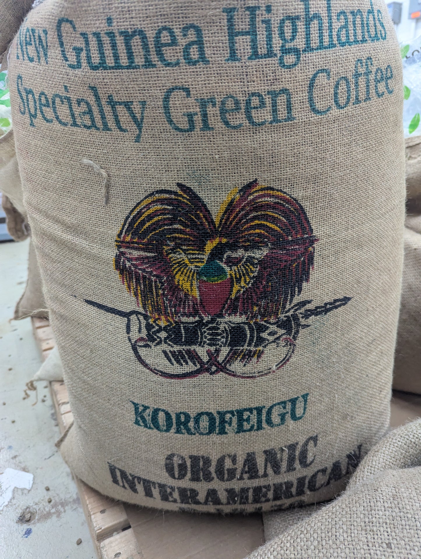 Papua New Guinea Korofeigu